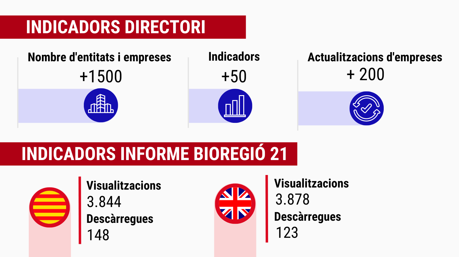 Indicadors directori i informe 2022